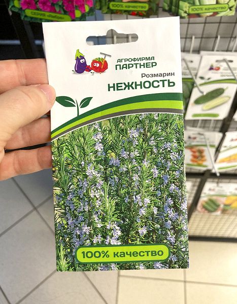 Розмарин Нежность